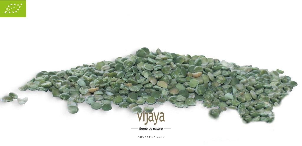 Vijaya
